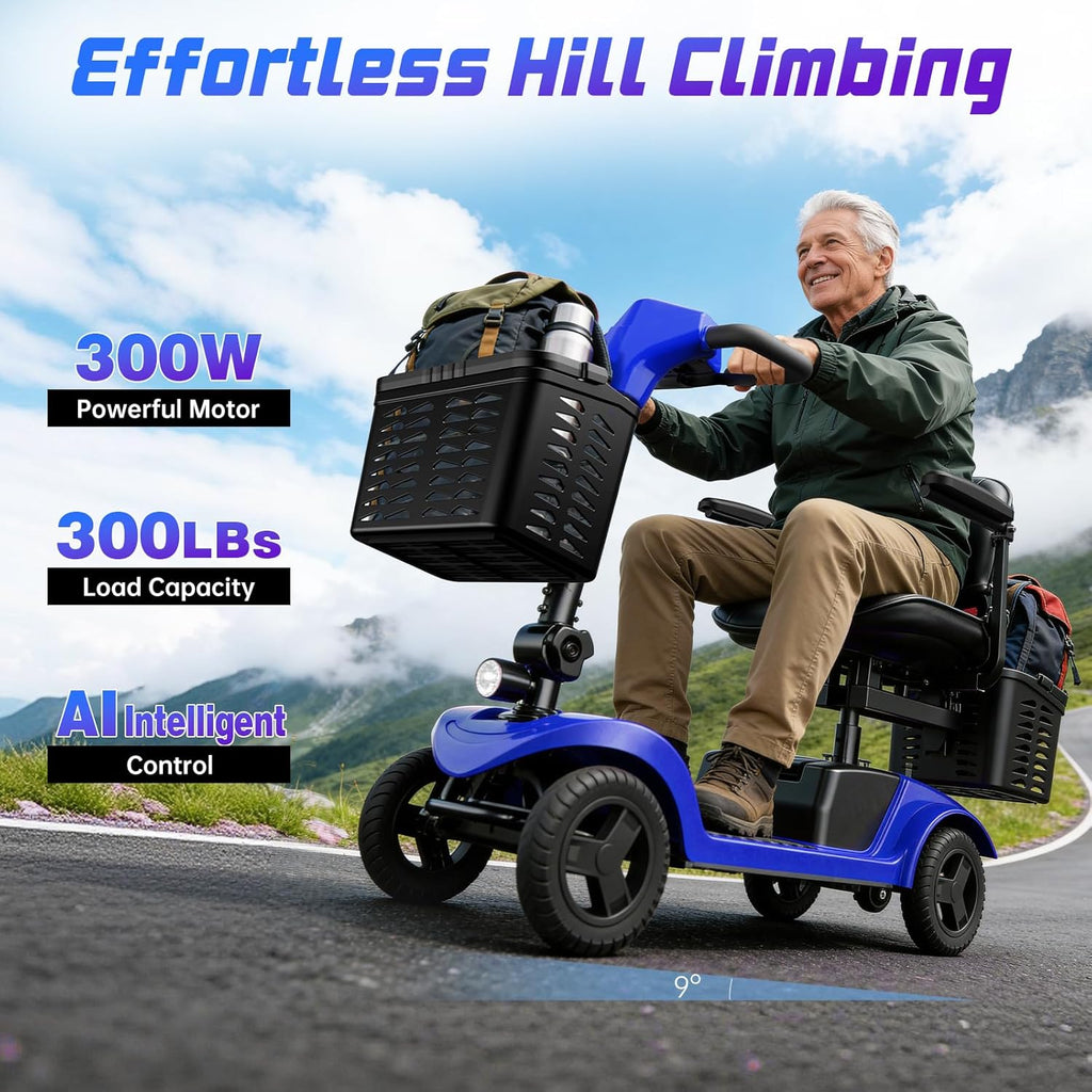 Mobility Scooter for Seniors,Motorized Scooter,Detachable Battery,Dual Baskets, Blue